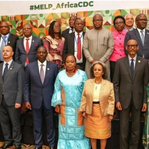 African Leaders tackling unemployment