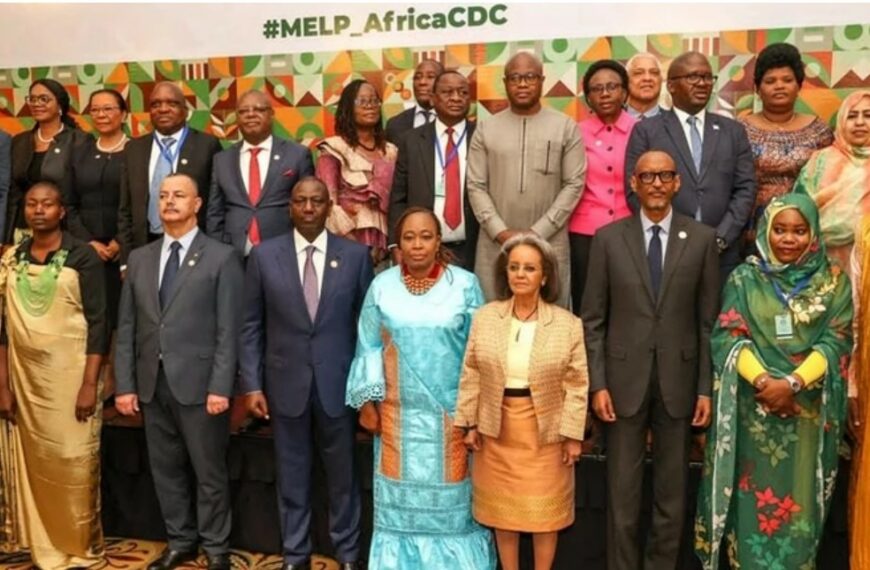 African Leaders tackling unemployment